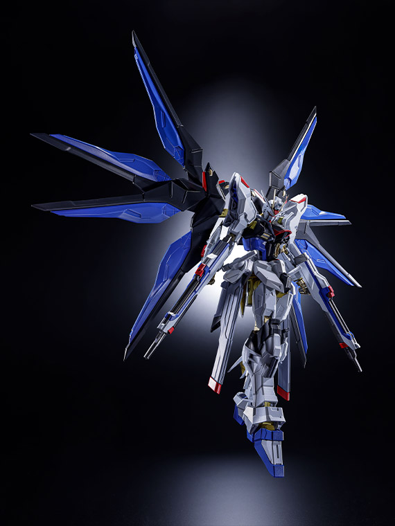 STRIKE FREEDOM GUNDAM "GUNDAM", TAMASHII NATIONS ABSOLUTE ACT